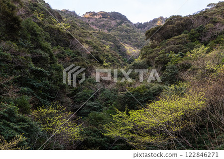 新綠與神明居住的山：離岸阿爾卑斯山屋久島 122846271