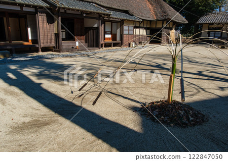 Thatched roof and garden Thatched roof and garden 122847050