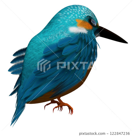 Kingfisher Kingfisher 122847236