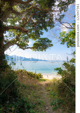 View of the sea from the shade of the coastal trees 122847361