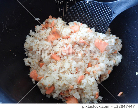 烤鮭魚拌飯 122847447