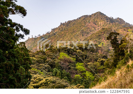 Yakushima, an island in the offshore Alps where the gods reside and where mountains of fresh greenery and young leaves abound 122847591