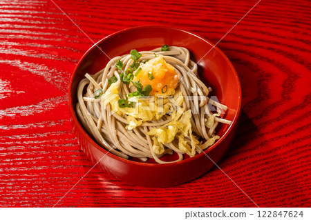 Izumo soba (traditional noodles from Izumo) 122847624