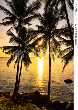 Silhouette coconut palm trees at sunset or sunrise sky over sea, Amazing colorful light sky nature landscape, Beautiful nature sky and clouds background 122848217