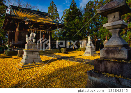 神社里佈滿了銀杏樹 122848345
