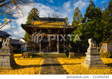 神社里佈滿了銀杏樹 神社里佈滿了銀杏樹 122848365