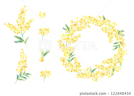 Watercolor mimosa flowers and wreath 122848434