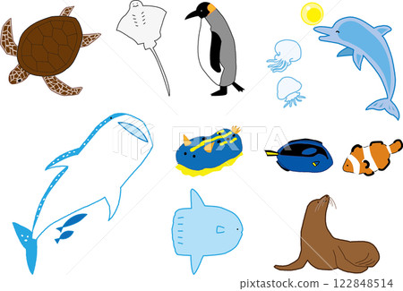 Illustrations of sea and aquarium creatures 122848514