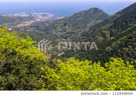 Spring in the Yakushima Offshore Alps (March) - New green leaves of trees shining in the sunlight 122848604