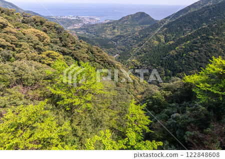 Fresh green leaves and the mountain where the gods reside: Yakushima, an offshore Alps 122848608