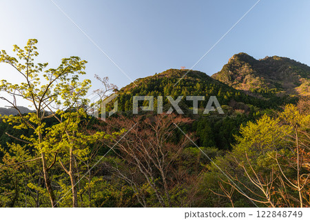 Fresh green leaves and the mountain where the gods reside: Yakushima, an offshore Alps Fresh green leaves and the mountain where the gods reside: Yakushima, an offshore Alps 122848749