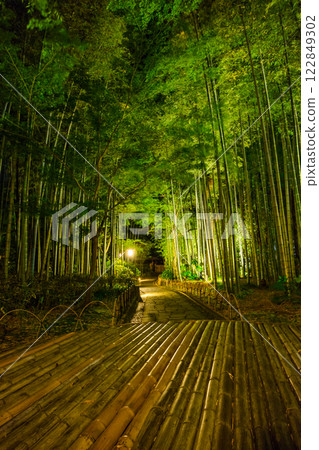 Bamboo forest path night view (Shizuoka Prefecture - Shuzenji, Izu City) Bamboo forest path night view (Shizuoka Prefecture - Shuzenji, Izu City) 122849302