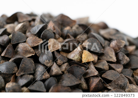 蕎麥特寫（帶殼的蕎麥種子） 122849373