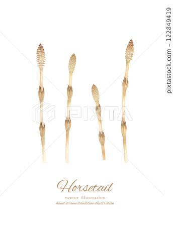 Watercolor hand-drawn horsetail cartoon 122849419