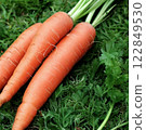 carrot  122849530