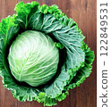 cabbage  122849531