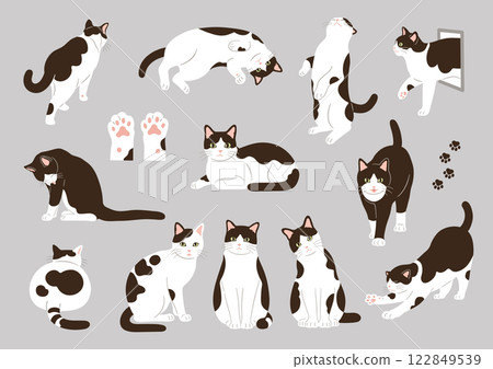 黑白貓插畫素材集 122849539