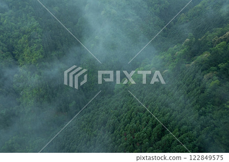 Aerial view of green forest landscape Aerial view of green forest landscape 122849575