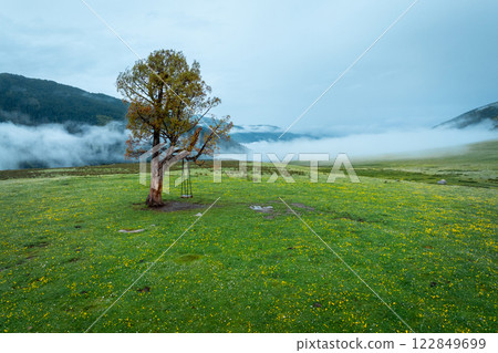 Aerial view of beautiful high altitude forest mountain landscape 122849699