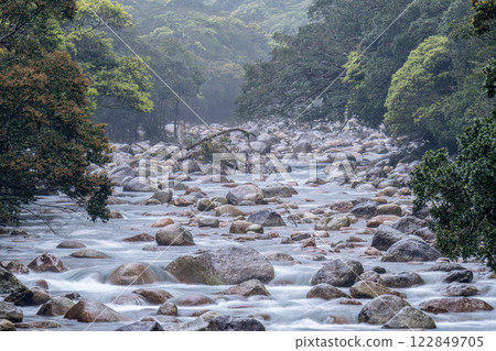 River mist and fresh greenery in the Miyanoura River Valley, Yakushima, offshore Alps River mist and fresh greenery in the Miyanoura River Valley, Yakushima, offshore Alps 122849705