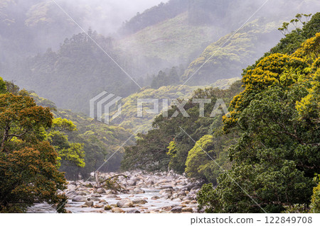 River mist and fresh greenery in the Miyanoura River Valley, Yakushima, offshore Alps 122849708