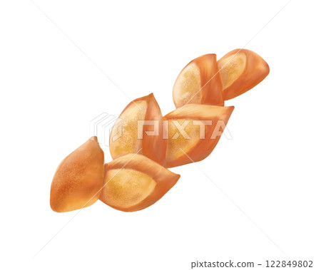 Realistic watercolor illustration of plain epi Realistic watercolor illustration of plain epi 122849802