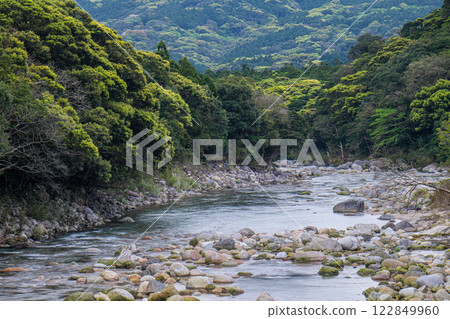 Fresh greenery shines in the Miyanoura River Valley, Yakushima, an offshore Alps 122849960