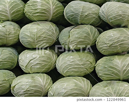 Cabbages neatly arranged Cabbages neatly arranged 122849961