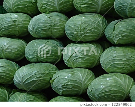 Cabbages lined up in the vegetable section 122849962