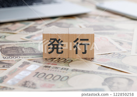 A block with the word issue written on it on top of money 122850258