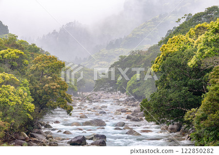 宮之浦川谷、屋久島、阿爾卑斯山近海的河霧與新綠 宮之浦川谷、屋久島、阿爾卑斯山近海的河霧與新綠 122850282