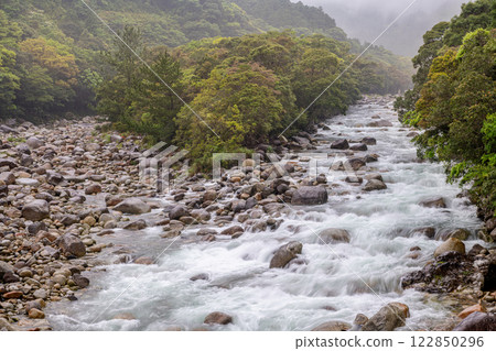 River mist and fresh greenery in the Miyanoura River Valley, Yakushima, offshore Alps 122850296