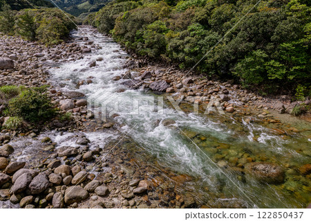 宮之浦川谷、屋久島、阿爾卑斯山近海的新鮮綠地 122850437