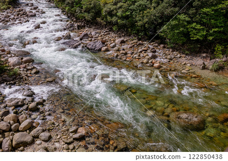 宮之浦川谷、屋久島、阿爾卑斯山近海的新鮮綠地 122850438