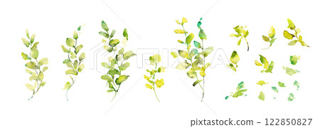 Watercolor. Vector illustration of eucalyptus in watercolor style. Decorative frame of leaves painted in watercolor. 122850827