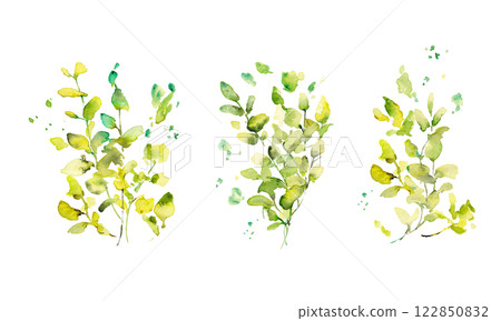 水彩畫。水彩尤加利矢量插圖。用水彩畫的葉子裝飾框架。 122850832