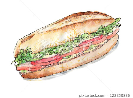 手繪水彩插圖的越南三明治“Banh Mi” 122850886
