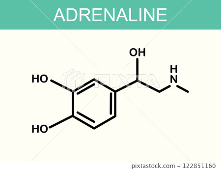 Adrenaline Chemical Structure Illustration 122851160