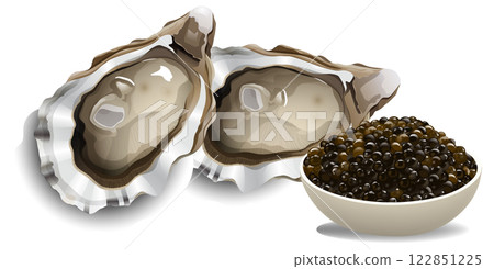 Oysters and Caviar Illustration 122851225