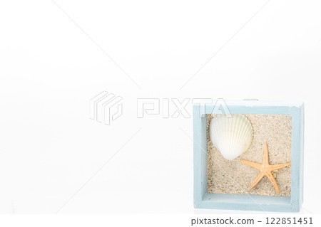 Shell and starfish accessories 122851451
