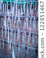Specialty dried fish 122851467
