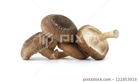 Group of Fresh Shiitake Mushrooms Isolated on White Background 122853018