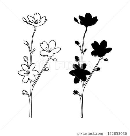 Branch set of blooming cherry blossoms in doodle sketch style, contour hand drawing, isolated on white background. Spring sakura. Branch set of blooming cherry blossoms in doodle sketch style, contour hand drawing, isolated on white background. Spring sakura. 122853086