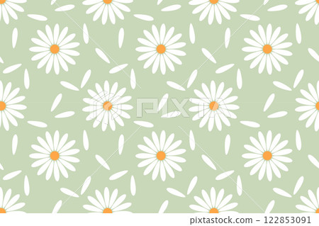 Chamomile meadow, field with blooming daisies and white petals, summer vibe. Chamomile meadow, field with blooming daisies and white petals, summer vibe. 122853091