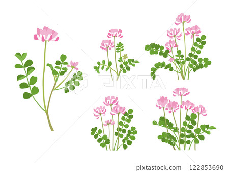 一組可愛盛開的中國紅花變種的插圖 一組可愛盛開的中國紅花變種的插圖 122853690