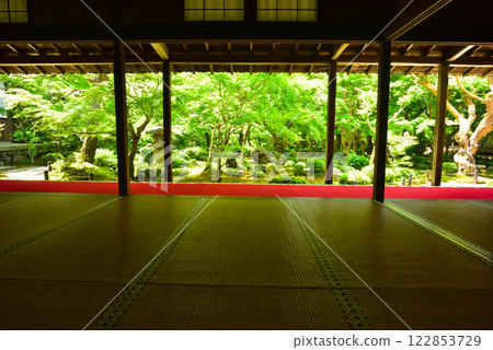 京都春天的圓光寺 京都春天的圓光寺 122853729