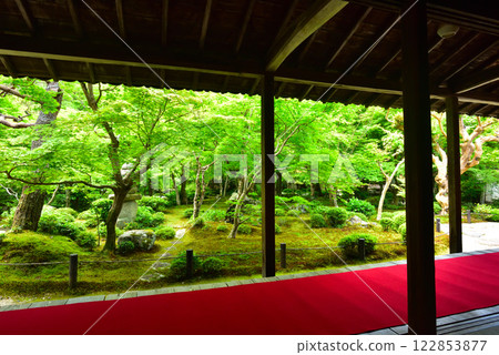 Enkoji Temple in Spring, Kyoto 122853877