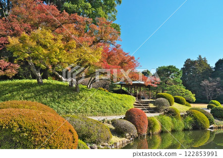 A park in Tokyo on a clear autumn day. The autumn leaves in the Japanese garden stand out against the greenery. 122853991
