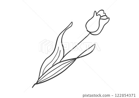 鬱金香的簡單線條畫插圖 鬱金香的簡單線條畫插圖 122854371