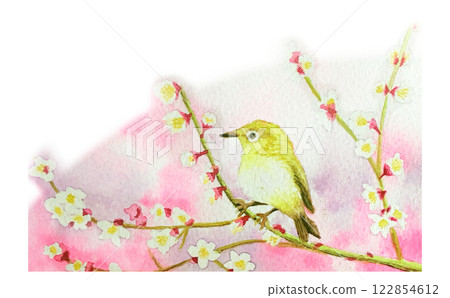 早春的梅花與繡眼鳥 早春的梅花與繡眼鳥 122854612